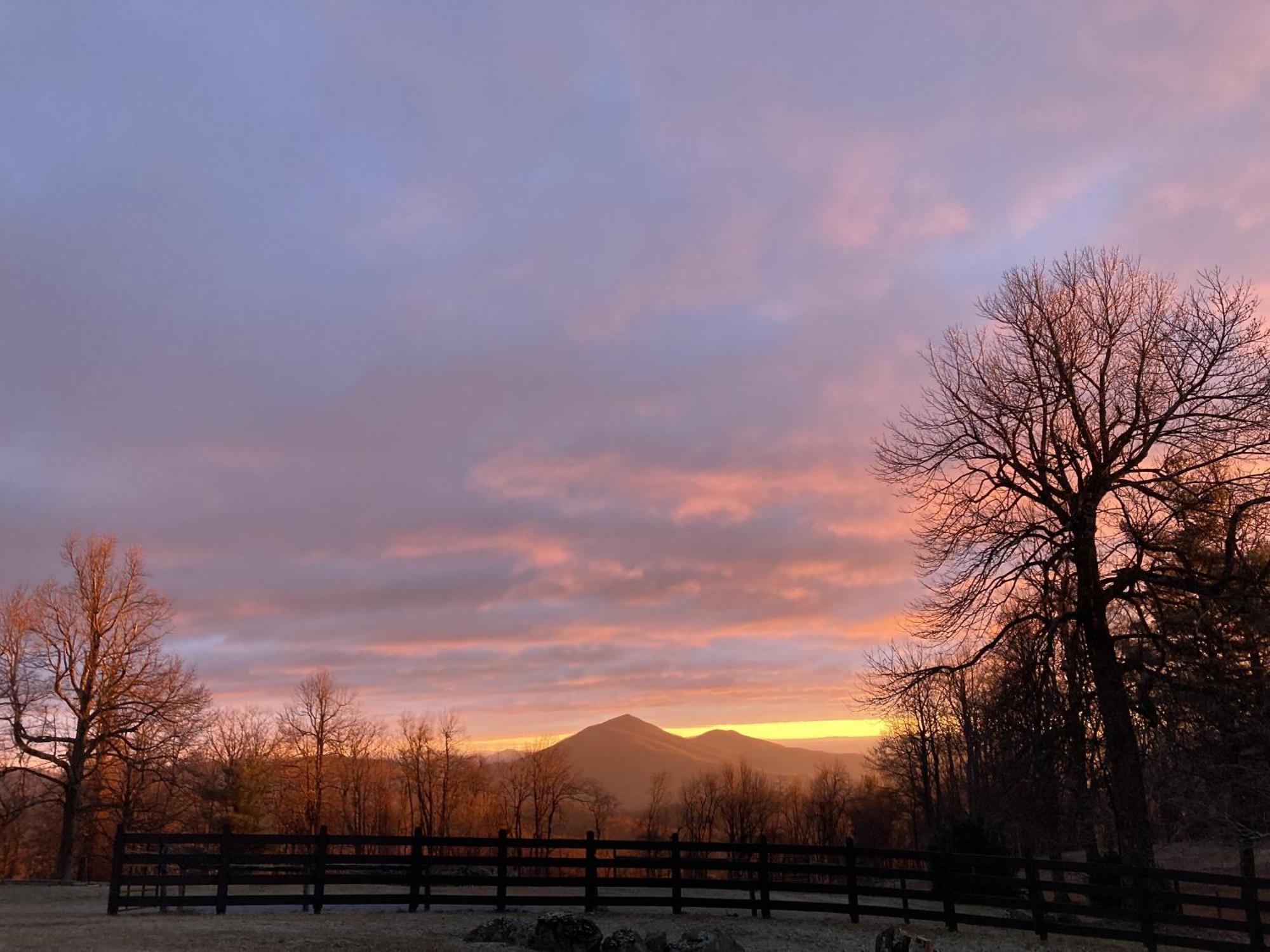 Bent Mountain Lodge Roanoke Eksteriør billede